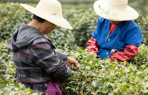 33.png